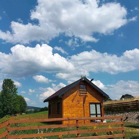 Domek Caloroczny Poręba Wielka Kültér fotó